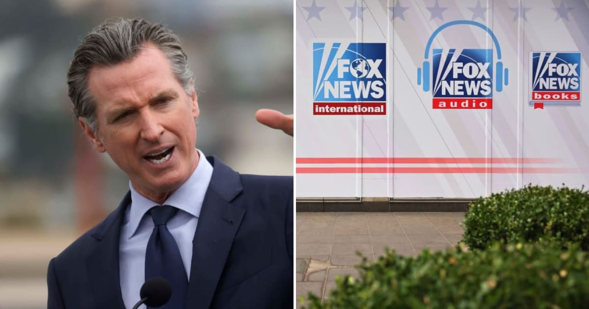 Fox Business host Dagen McDowell said Christmas tree farms should make way for AI infrastructure, telling viewers to 'buy a fake tree' during a segment (Getty Images)