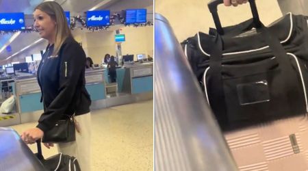 Passenger explodes at Alaska Airlines staff over carrying two cats in one carrier