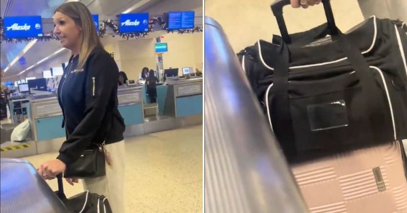 Passenger explodes at Alaska Airlines staff over carrying two cats in one carrier