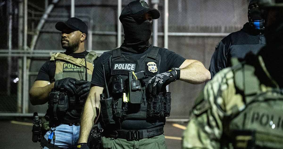 DHS officials claimed that the driver accelerated toward ICE officers, forcing them to fire defensively to protect their lives (Getty Images) 