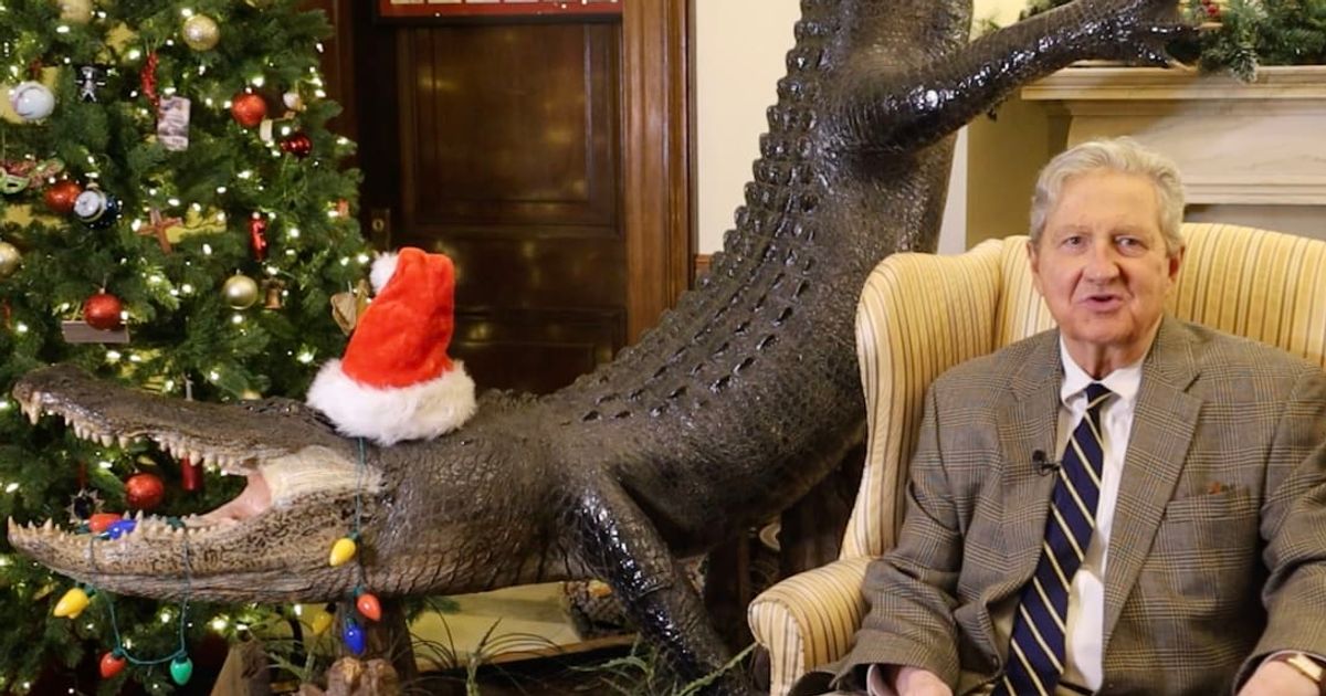 Senator John Kennedy shared a Christmas greeting on X featuring a taxidermied alligator wearing a Santa hat (@@SenJohnKennedy/X)