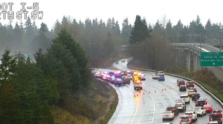 Video shows man stealing patrol cruiser after pushing officer to ground on Christmas Day