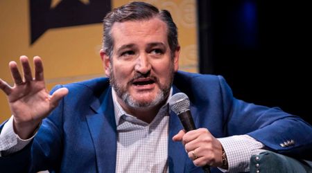 Ted Cruz blasts media outlets for lack of coverage on Minnesota fraud: 'Professional liars'