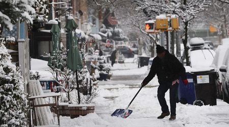 Snow King sculpture on Brooklyn sidewalk transforms into a popular NYC tourist spot