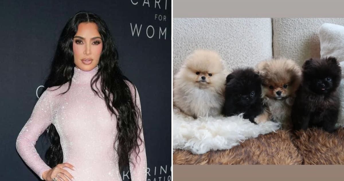 Kim Kardashian gifted her children, North, Saint, Chicago, and Psalm, their own puppies on the occasion of Christmas (Screenshot/@kimkardashian/Instagram)
