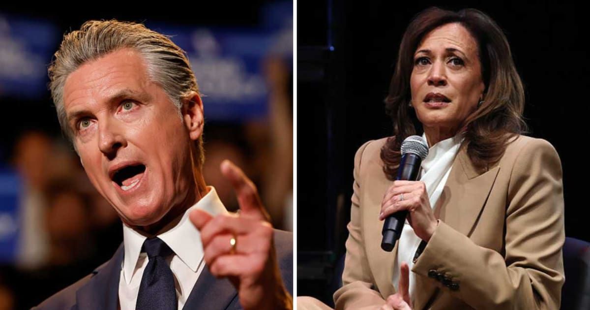 Fox’s Kayleigh McEnany predicts Gavin Newsom's White House run, Kamala Harris as key challenger