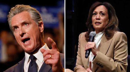 Fox’s Kayleigh McEnany predicts Gavin Newsom's White House run, Kamala Harris as key challenger