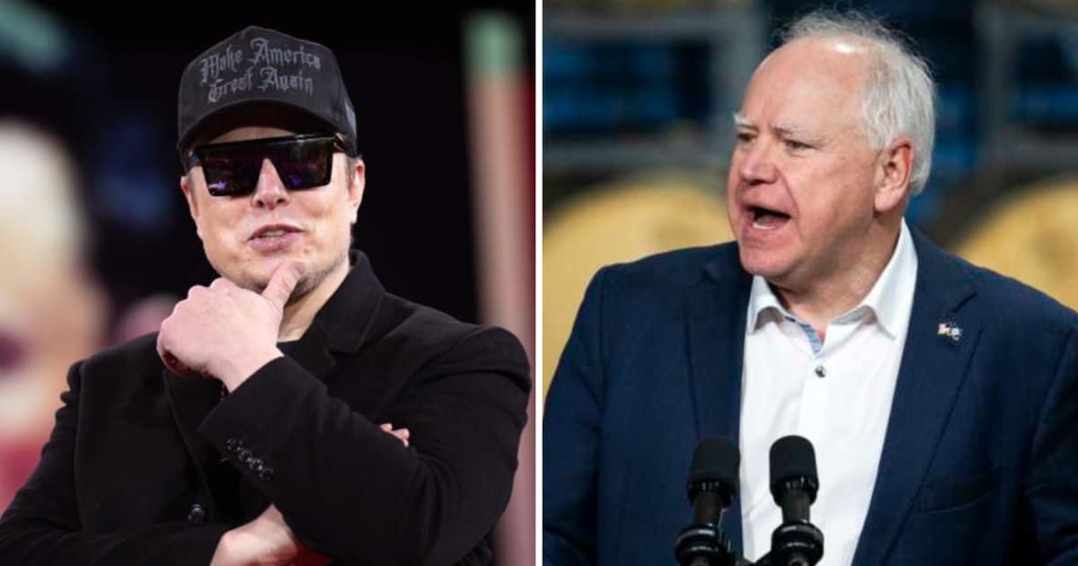 Elon Musk brands Tim Walz a ‘traitor’ amid widening Minnesota fraud investigations