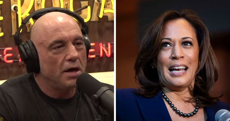 Joe Rogan rejects idea Kamala Harris couldn’t handle his 3-hour interview: 'It would’ve been fine'