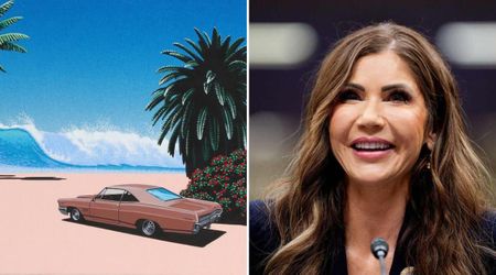 US Homeland Security under fire for using Japanese artist's work without consent