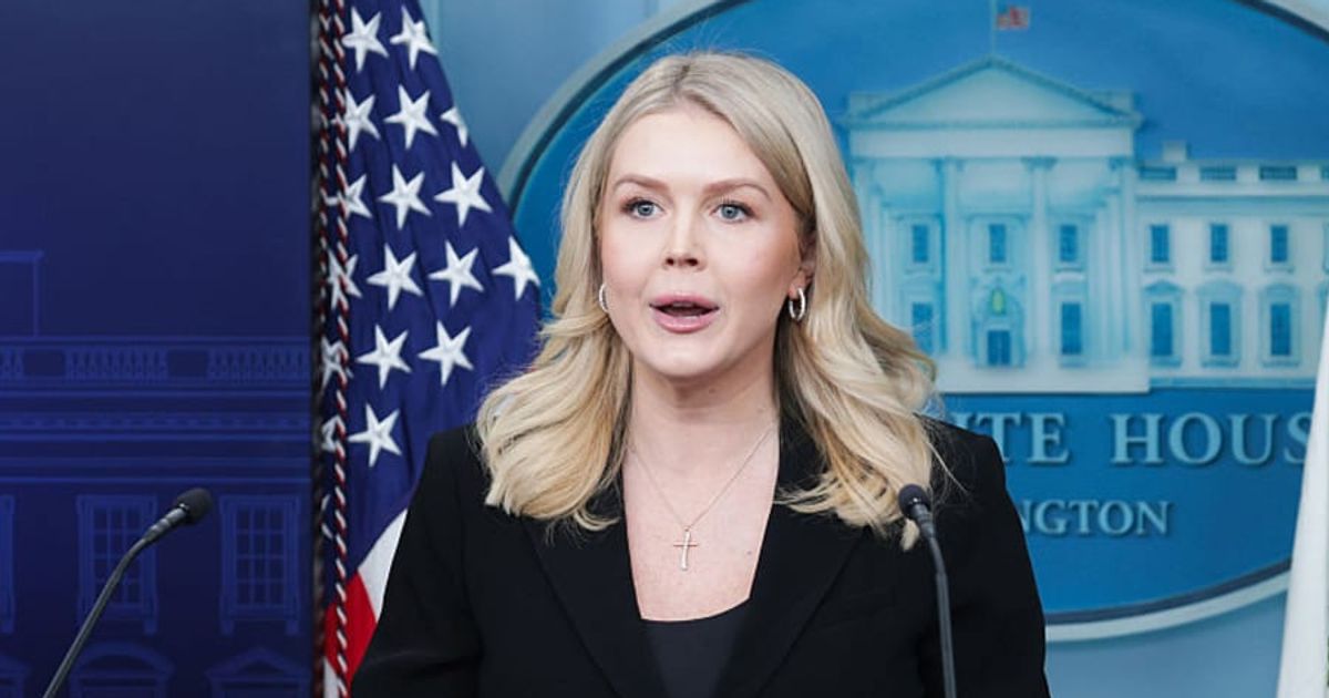 Karoline Leavitt blames ‘sinister left-wing movement’ for fatal ICE shooting in Minneapolis