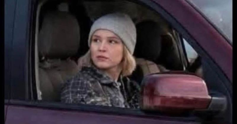 Fact Check: Is viral image of Renee Nicole Good speaking to an ICE officer before being shot real?