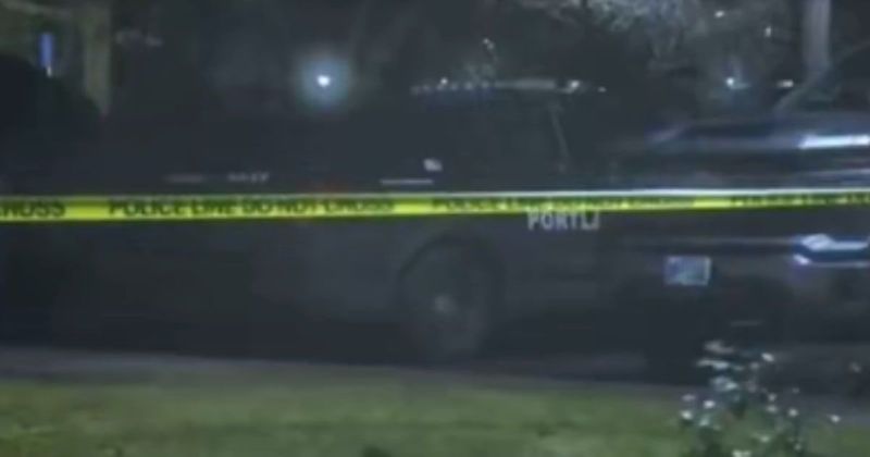 Federal immigration agents shoot two people in Portland, Mayor calls ICE to exit his city