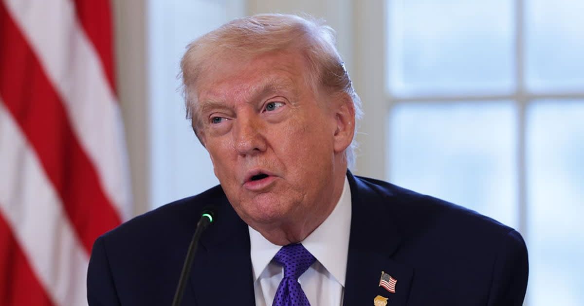 President Donald Trump said the plan was meant to boost affordability and stop credit card companies from ripping off consumers. (Alex Wong/Getty Images)