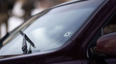 Fact Check: Does new video show Renee Nicole Good honking and dancing in SUV before ICE shooting?