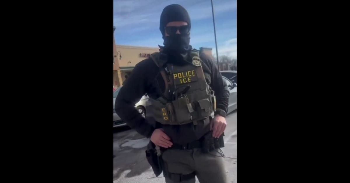 Viral videos on X showed an Immigration and Customs Enforcement agent praising his job and saying he would do the work for free (@RedWave_Press/X)