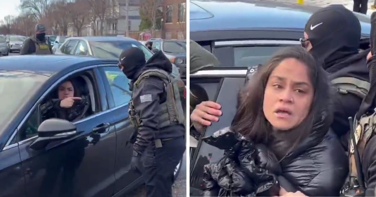 Video shows ICE agents smashing a car window, cutting a seatbelt and arresting a disabled woman as protesters shouted in outrage (Screengrab/@noturtlesoup17/X)