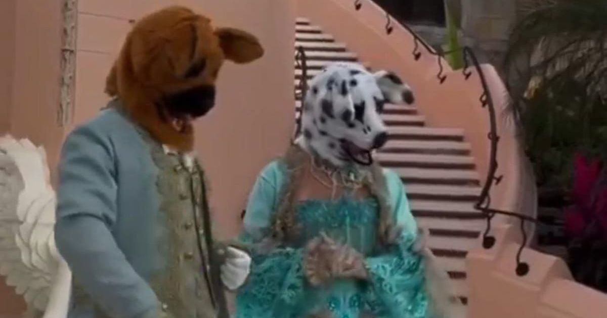 Some commentators compared the dog-friendly fundraiser to unsettling scenes in ‘Eyes Wide Shut’ (@patriottakes/X)
