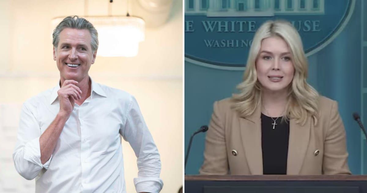 California Governor Gavin Newsom took a swipe at White House press secretary Karoline Leavitt by resurrecting one of the most infamous controversies (@GovPressOffice/X)