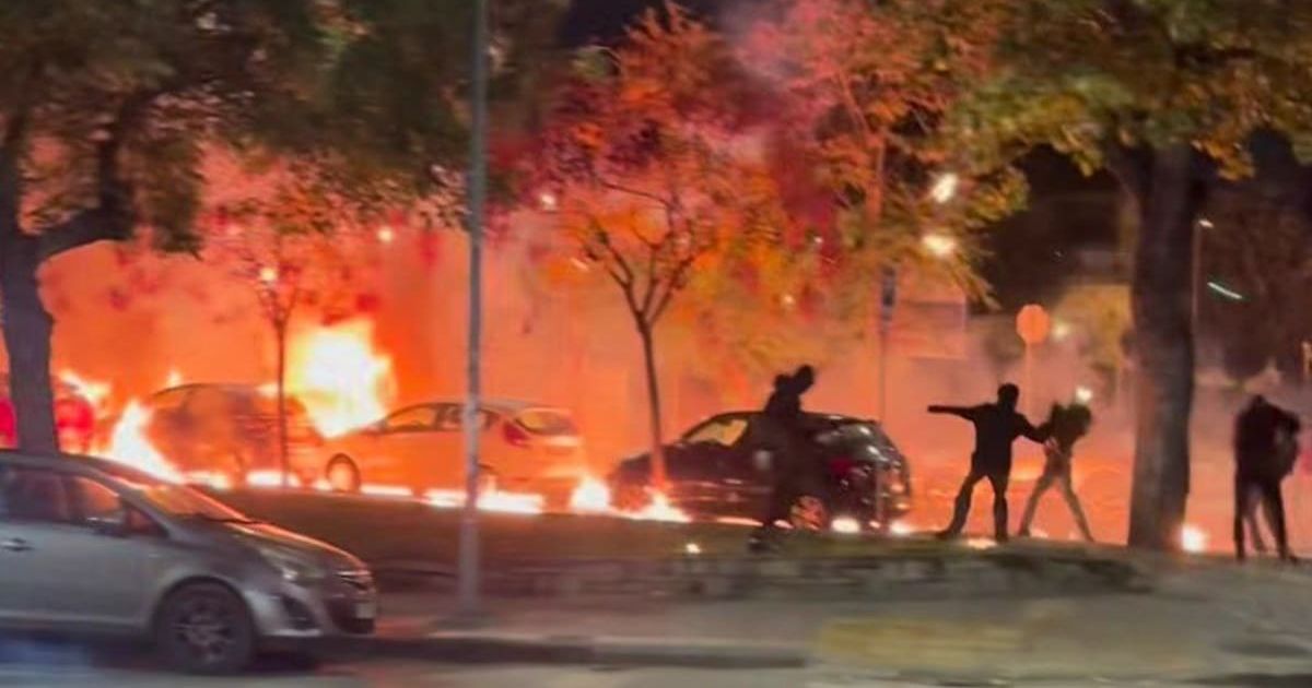 Fact Check: Is the video of people throwing Molotovs from Iran protests real?