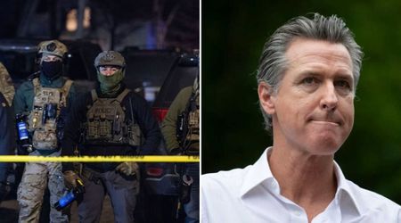 Progressives tell Newsom to 'grow a spine' after he walks back on ICE 'te**orism' remark