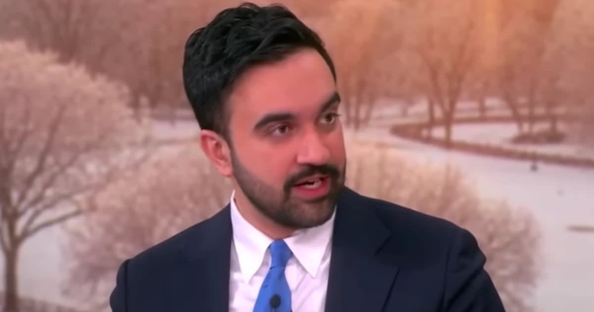 Zohran Mamdani said ICE failed its mission, relied on intimidation, and lacked 'humanity' in its enforcement actions  (Screengrab/The View/YouTube)
