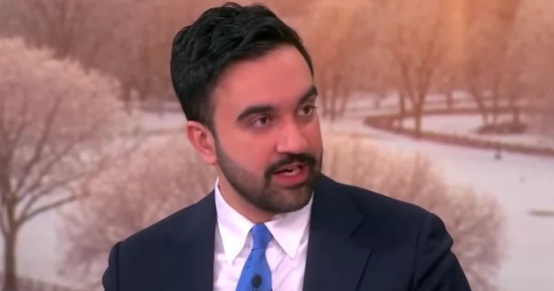 Zohran Mamdani backs ‘abolishing ICE’ as he claims the agency is ‘terrorizing people’