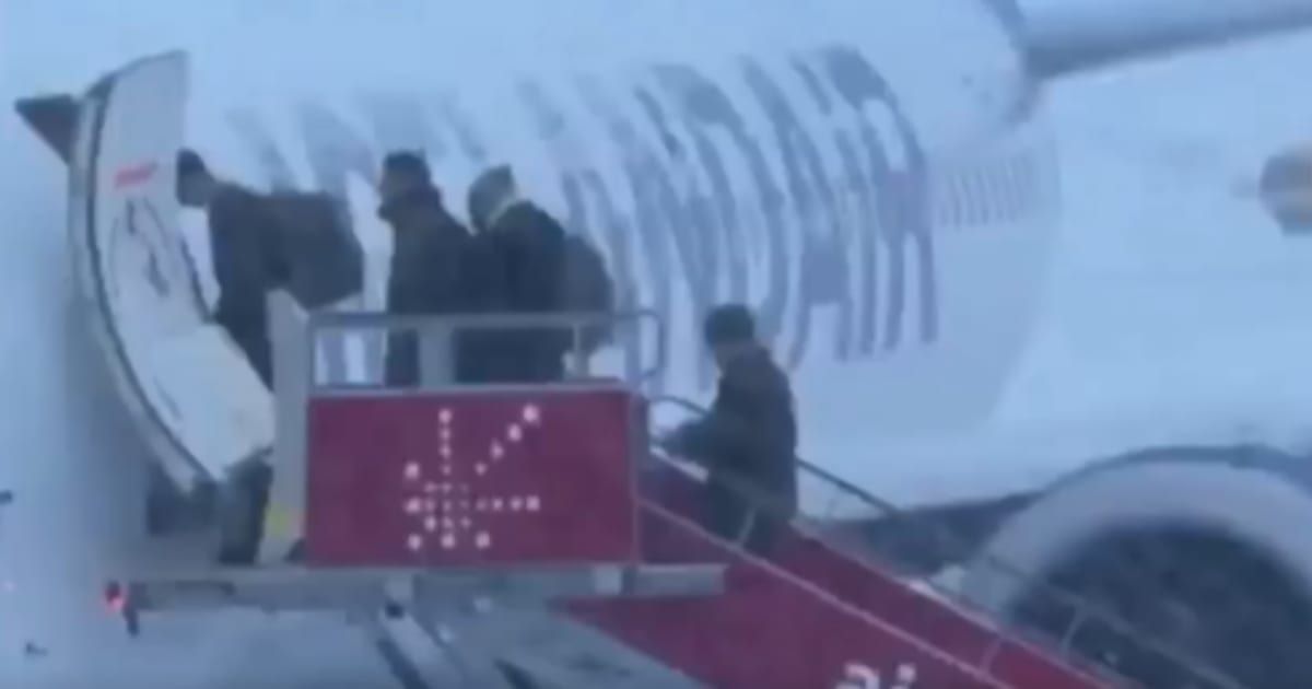 A rumor circulated online claiming that German troops left Greenland following Donald Trump's tariff threats (Screengrab/Bild)