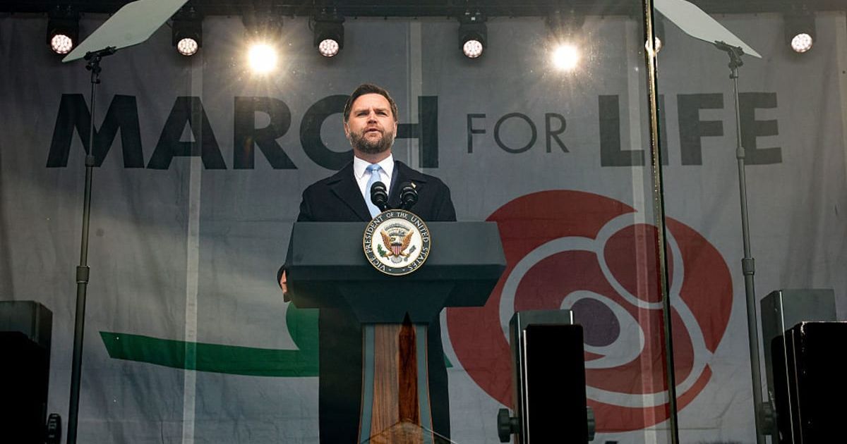 Vice President JD Vance urged Americans to find meaning through having children during a speech in Washington, DC (Getty Images)