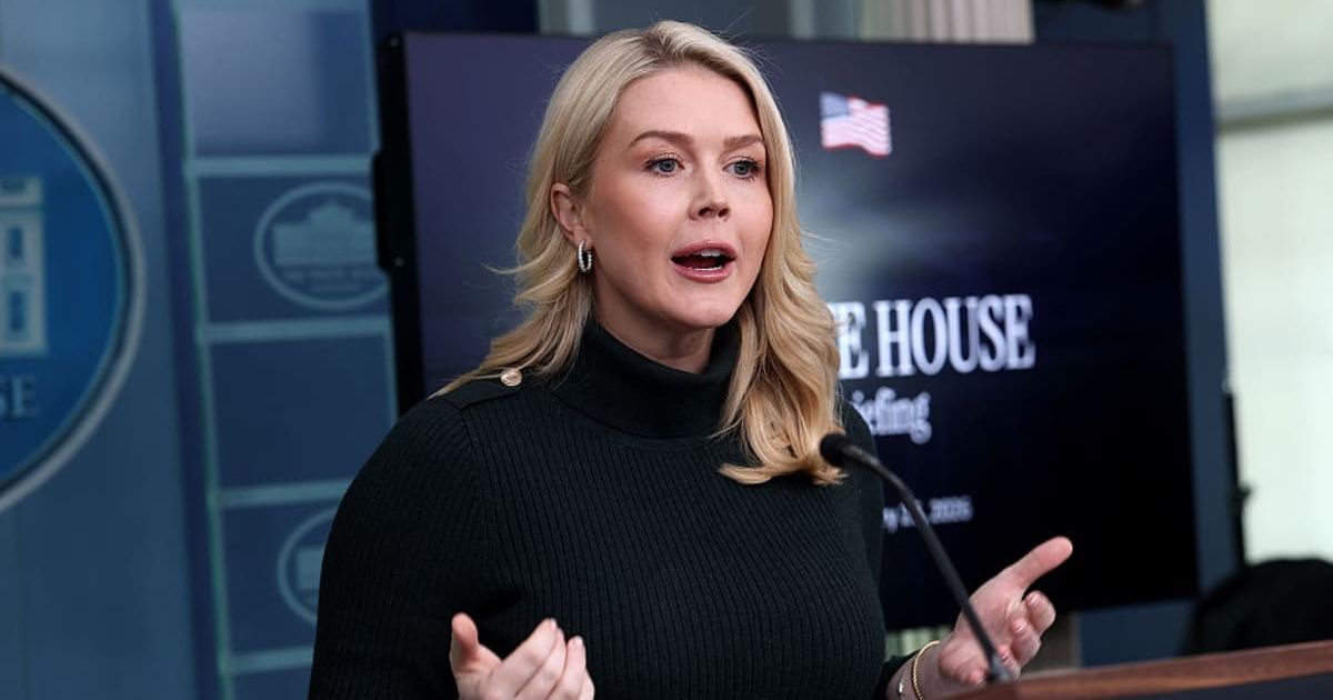 Karoline Leavitt criticized Gov Tim Walz and Minneapolis Mayor Jacob Frey for what she called encouragement of anti-ICE activists (Getty Images)