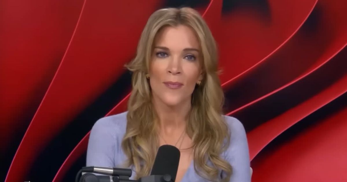 Megyn Kelly labeled Alex Pretti an agitator who confronted federal agents, claiming he had clashed with officers a week earlier and accusing him of disrupting enforcement operations (Megyn Kelly/ Youtube)