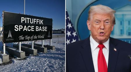 From 'space race' to 'real estate', 7 reasons global analysts gave for Trump wanting Greenland