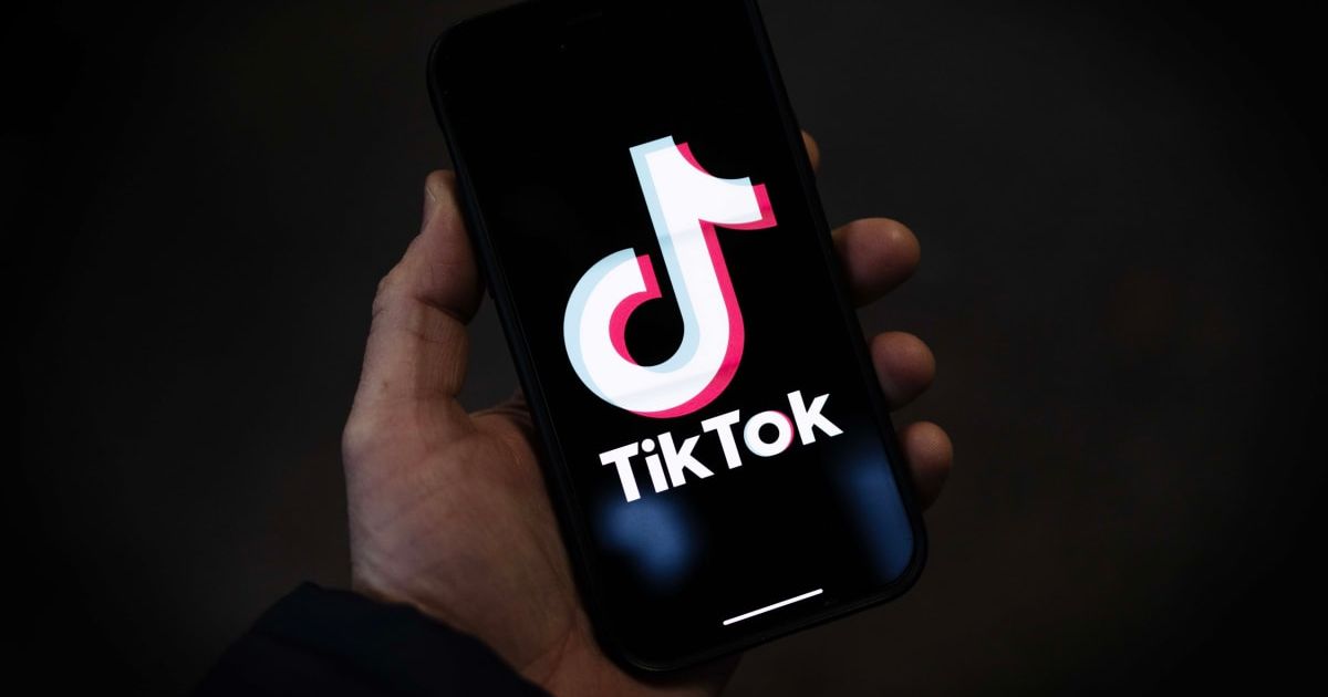 Rumor claims TikTok's new terms of service allow the app to track sensitive info like immigration status (Getty Images)