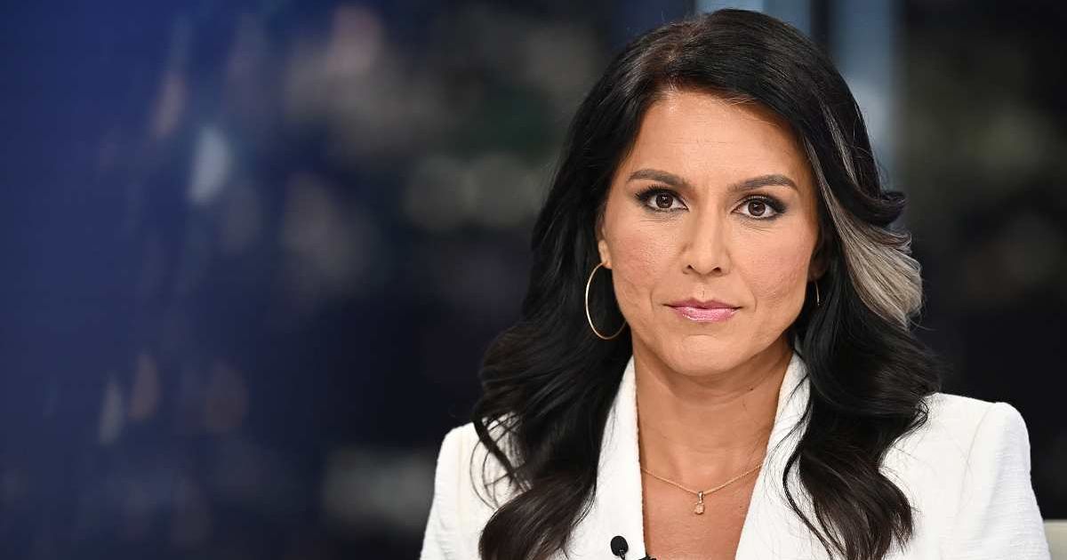 Democratic lawmakers sought a briefing after Tulsi Gabbard was seen during an FBI search of 2020 election records in Fulton County (Steven Ferdman/Getty Images)
