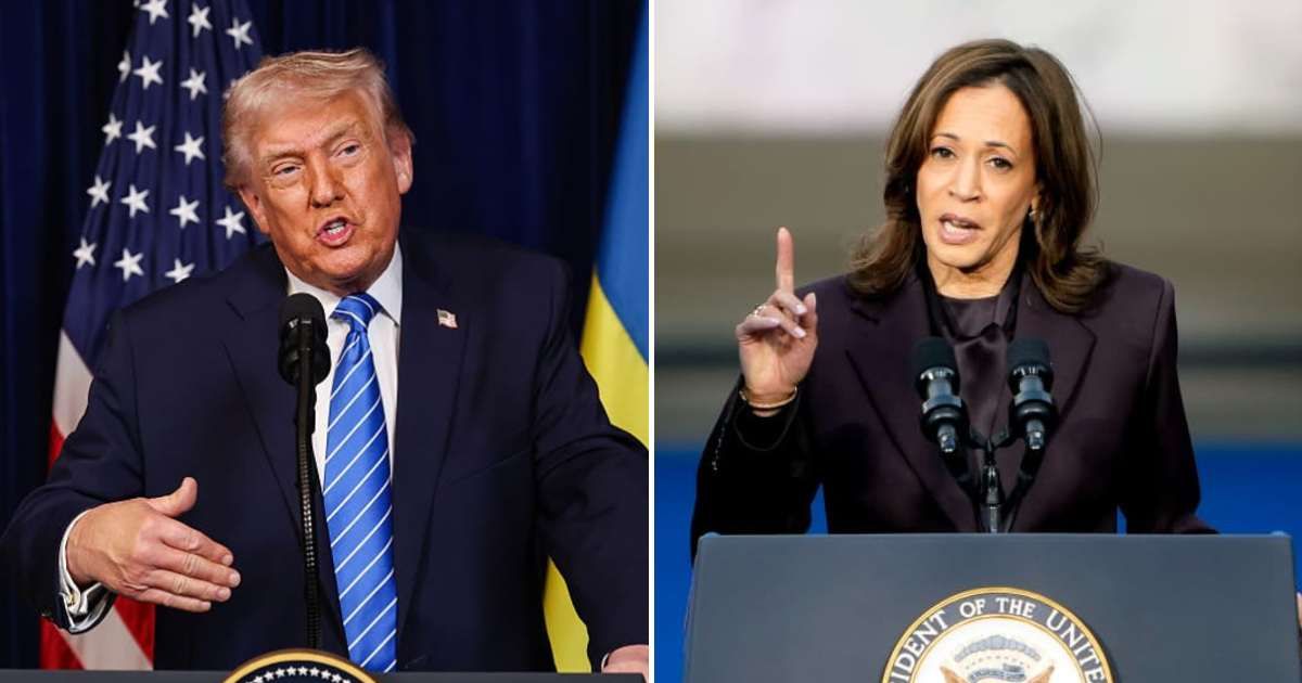 Harris accuses President Trump of consolidating power and showing a 'flagrant disregard for the rule of law' following the arrests of journalists Don Lemon and Georgia Fort (Getty Images)