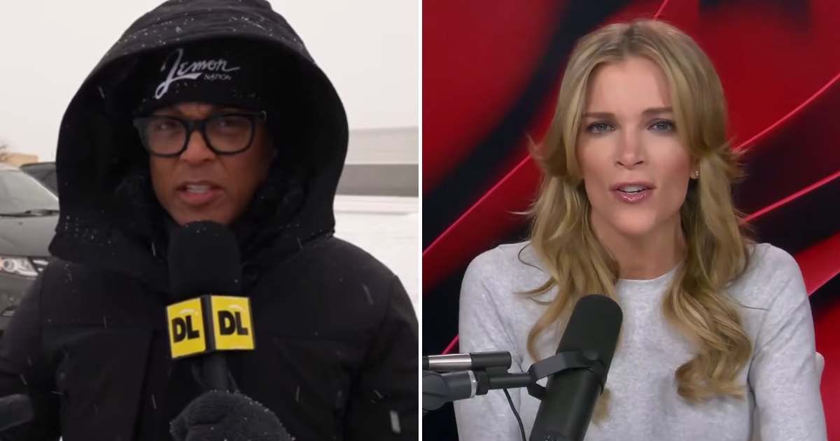 Megyn Kelly claimed Don Lemon was in 'cahoots' with the anti-ICE protesters who disrupted service at a Minnesota  church on January 18 (Screengrab/Megyn Kelly/YouTube, Screengrab/ DonLemon/YouTube)