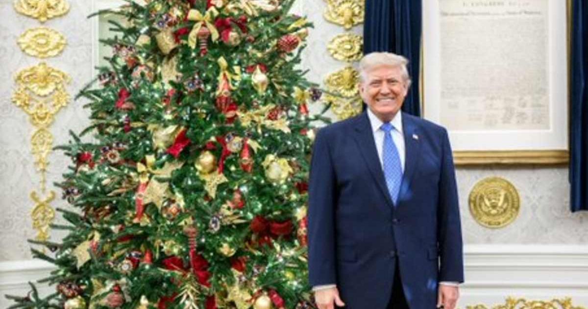 Trump highlighted his inaugural meeting with the preservation committee, pledging to safeguard the White House for 'Centuries into the future' (White House, Instagram)