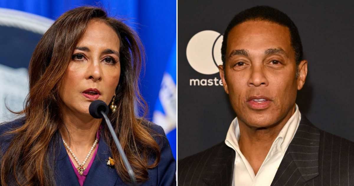 Assistant Attorney General for Civil Rights, Harmeet Dhillon, slammed defenders of former CNN anchor Don Lemon on Saturday (Getty Images)