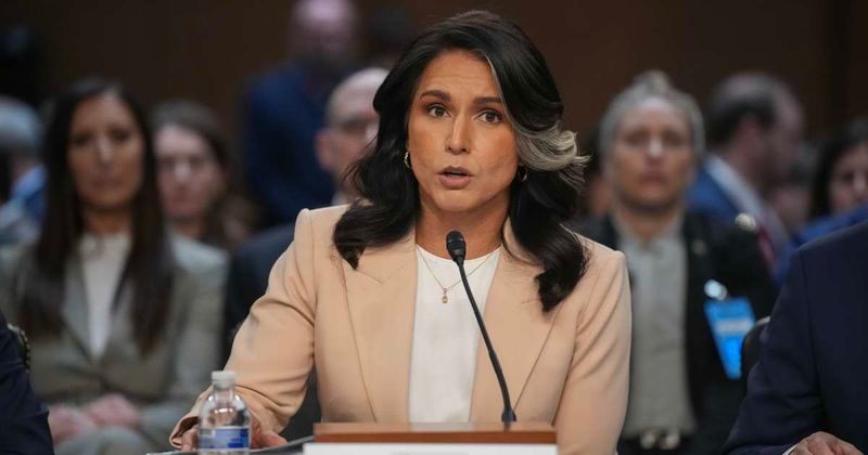 Gabbard responds to 'propaganda media' claims on whistleblower complaint delay