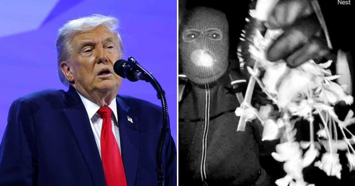 Trump urged the public to help identify the armed suspect captured in the newly released Guthrie investigation footage (Getty Images ; x/@@FBIDirectorKash)