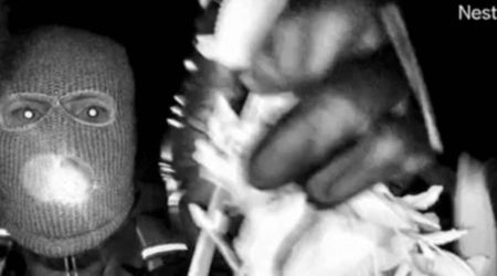 New FBI video offers ‘gait and jawline’ clues in Nancy Guthrie case, expert says