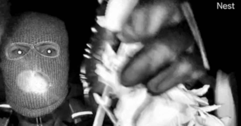 New FBI video offers ‘gait and jawline’ clues in Nancy Guthrie case, expert says