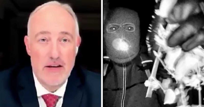 Expert calls FBI’s 10-day delay in releasing Nancy Guthrie case footage 'pretty shocking'