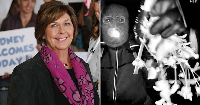 Nancy Guthrie case: FBI conducts 'extensive search' in Arizona