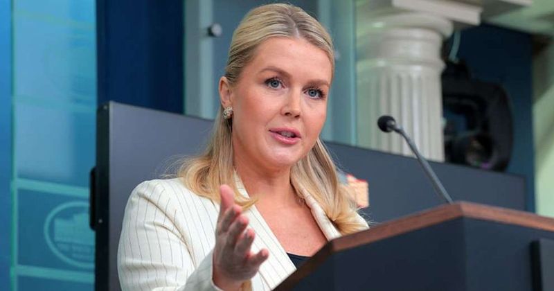 Karoline Leavitt blasts Barack Obama over voter ID stance, says 'Democrats are panicking'