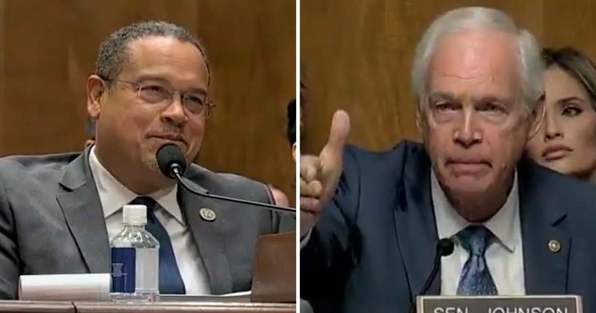 Ron Johnson confronted Keith Ellison over anti-ICE protests during a Senate hearing in Washington, DC (Screengrab/@Bubblebathgirl/X)