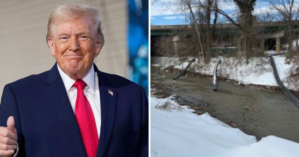 President Donald Trump ordered federal intervention in the Potomac River sewage spill, expanding response to a regional health emergency (Getty Images/X, @NoVA_Campaigns)