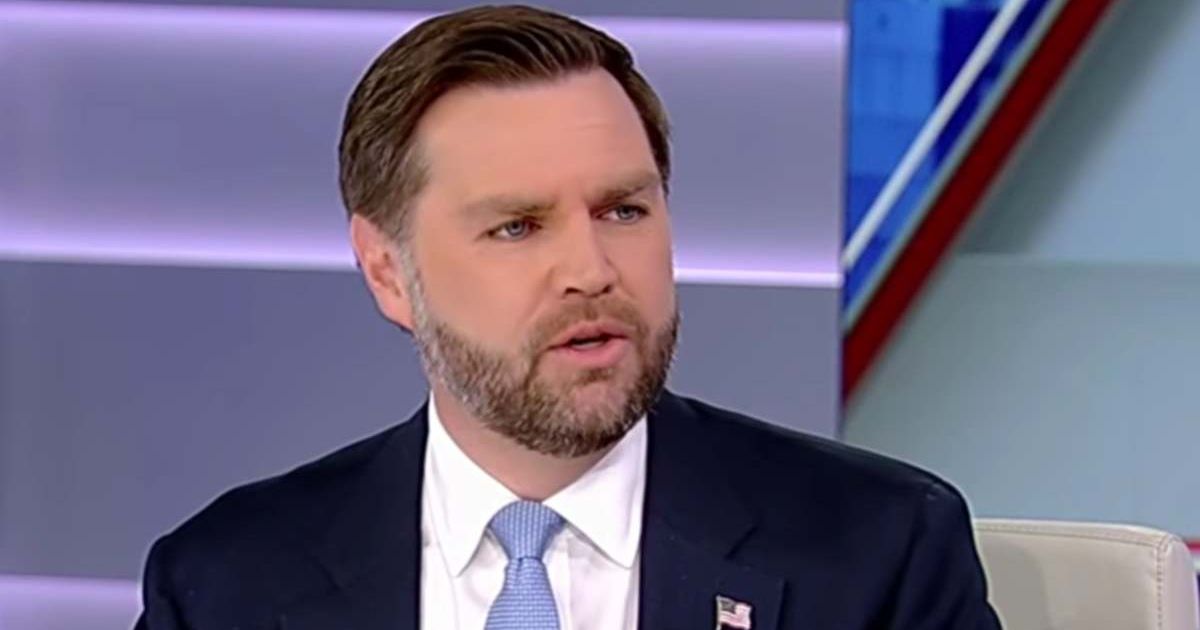 Vice President JD Vance blamed Los Angeles and Minneapolis leaders for immigration 'chaos' and vowed to keep enforcing border laws (Screengrab/FoxNews/YouTube)