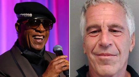 Fact Check: Do Epstein files reference Stevie Wonder in Israeli army boycott email?