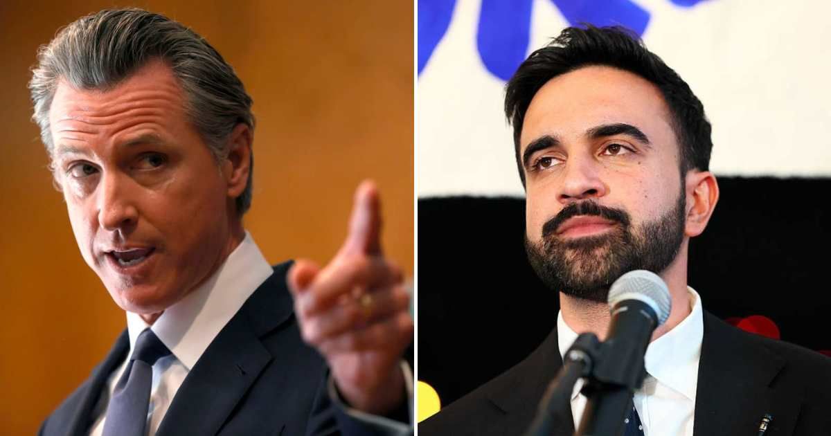 On Fox News, two famed anti-Trump Democrats were trolled for their stances on voter ID by Tomi Lahren and Laura Ingraham (Getty Images)